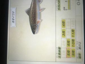 あつまれどうぶつの森 魚の図鑑と値段 売値 魚影 時間帯 レア度 出現場所 時期 あつ森
