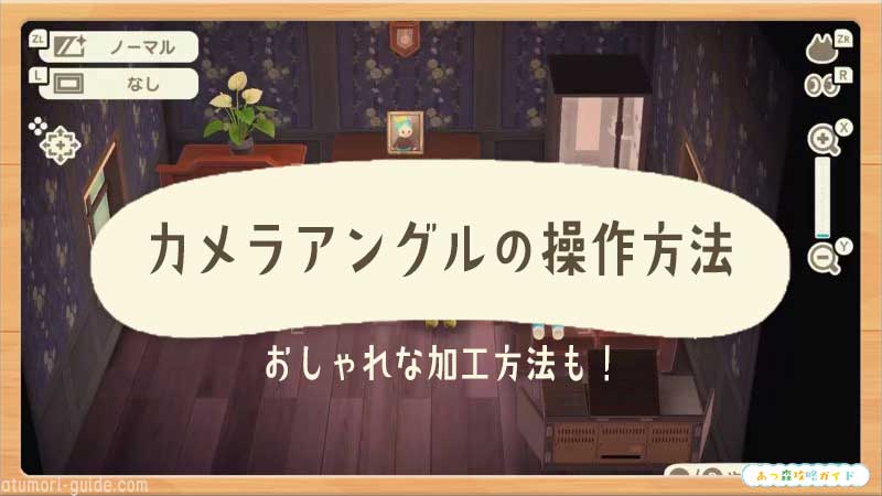 あつまれどうぶつの森 カメラアングルの操作方法とおしゃれな加工方法 あつ森